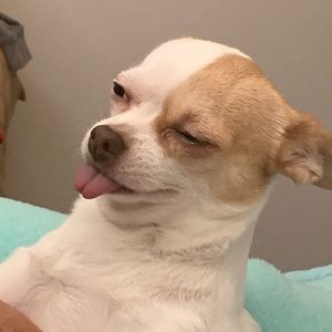 Meet your Posher, Big jay